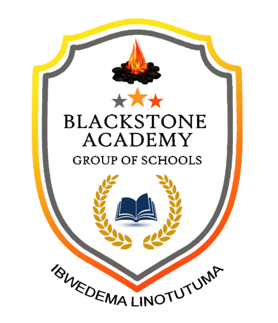 Blackstone Academy Group of Schools